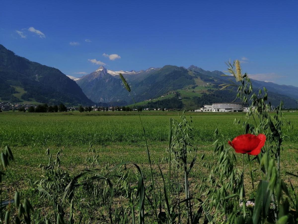 Alm Appartements Zellamsee Zell am See Exterior foto